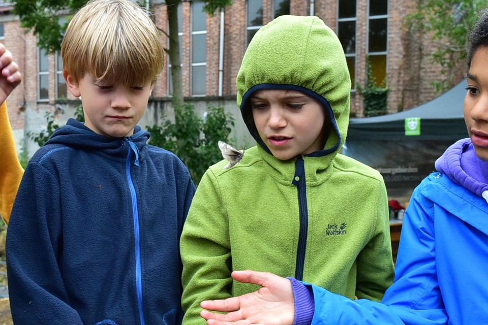 Kinderen leven zich uit in de natuur.