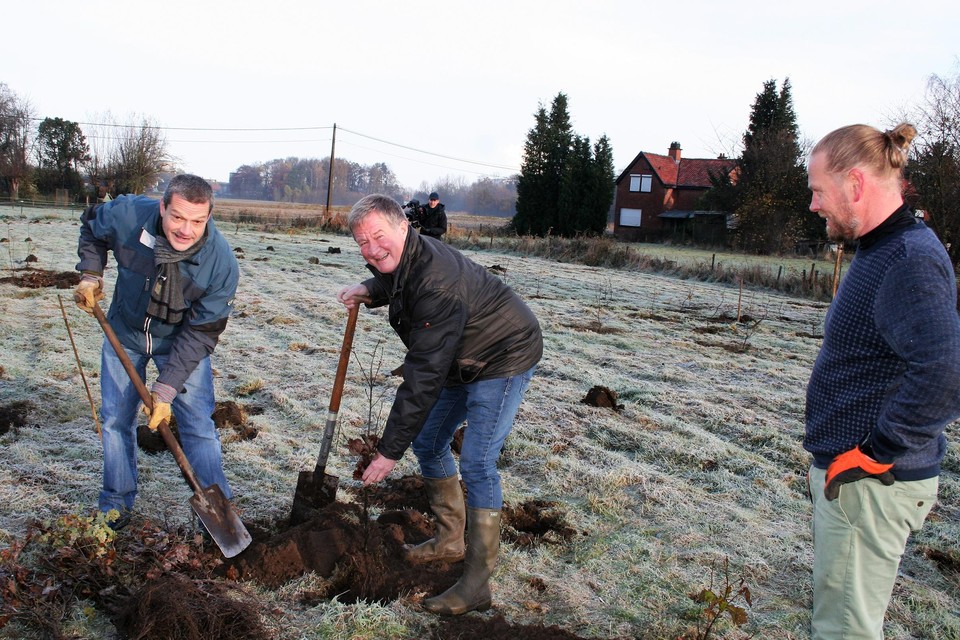 CEO Wouter Torfs kwam zelf mee de 1.400 boompjes in de grond steken. 