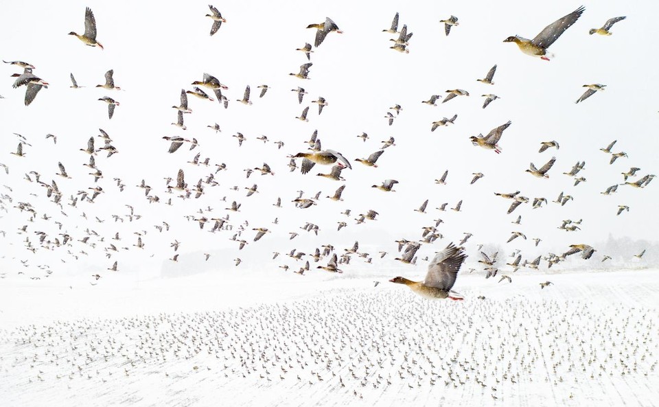 Hoofdwinnaar van de Drone Awards 2021.