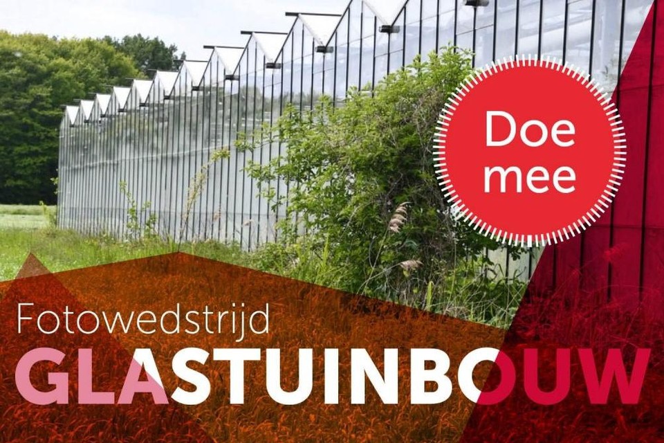 De wedstrijd gaat uit van provincie Antwerpen