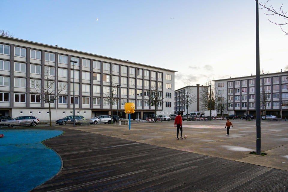 Het Nederlandse Camelot verhuurde voor Woonhaven 120 flats, onder meer op het Majoor Maelfaitplein in Hoboken.