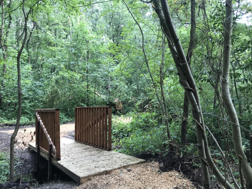 Een bruggetje in het bos.