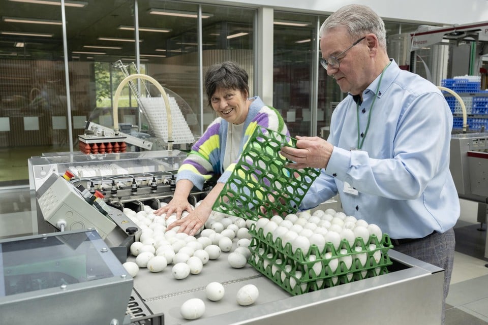 Gedeputeerde Kathleen Helsen controleert de geproduceerde eieren.