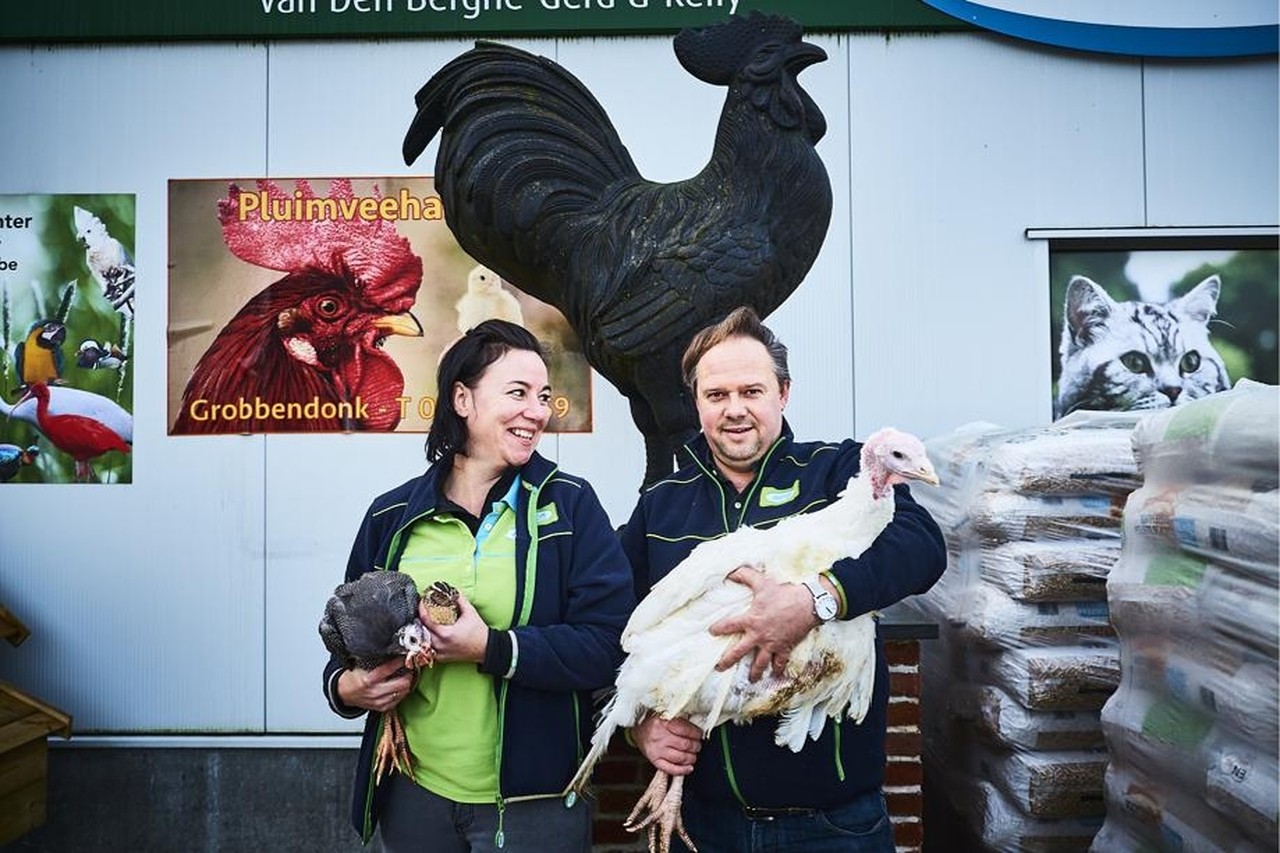 risico Besnoeiing twist Gerd (43) verzamelt meer dan honderd soorten levend pluimvee: “Soms zijn de  vogels te schoon om op te eten” | Gazet van Antwerpen Mobile