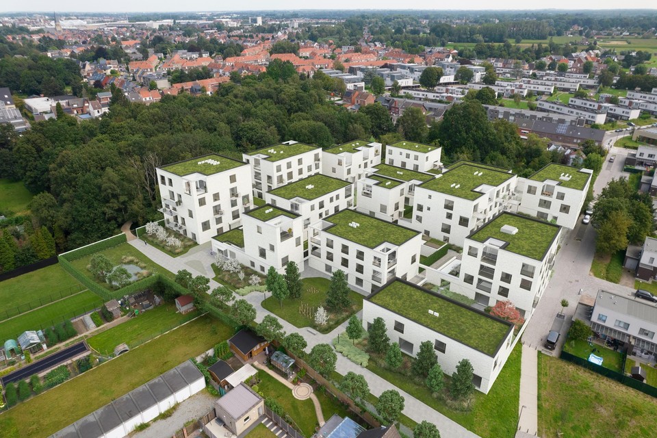 De nieuwe woonwijk Zuidkwartier bestaat in totaal uit dertien gebouwen.