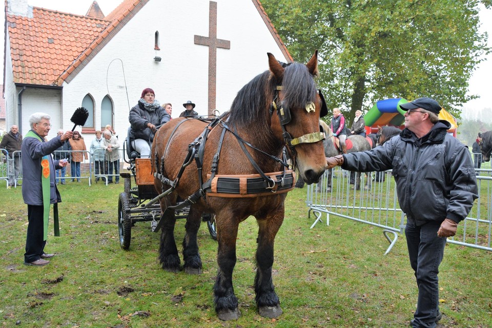 Dierenwijding.