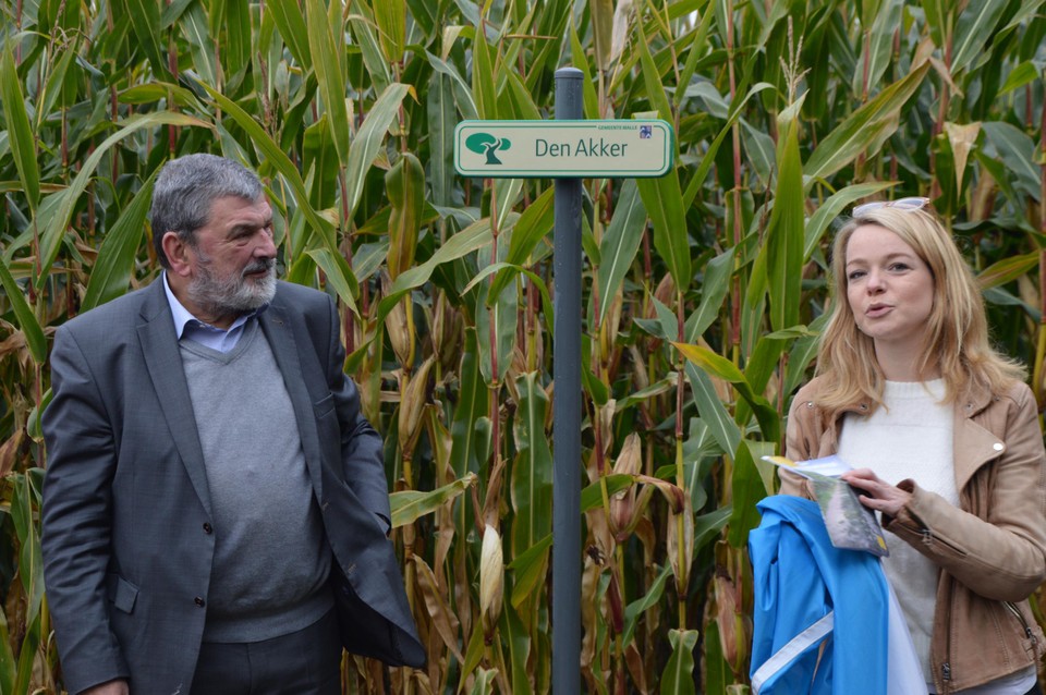 De trage wegen hebben een straatnaambord met een boom op.