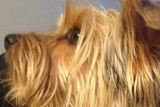 thumbnail: null