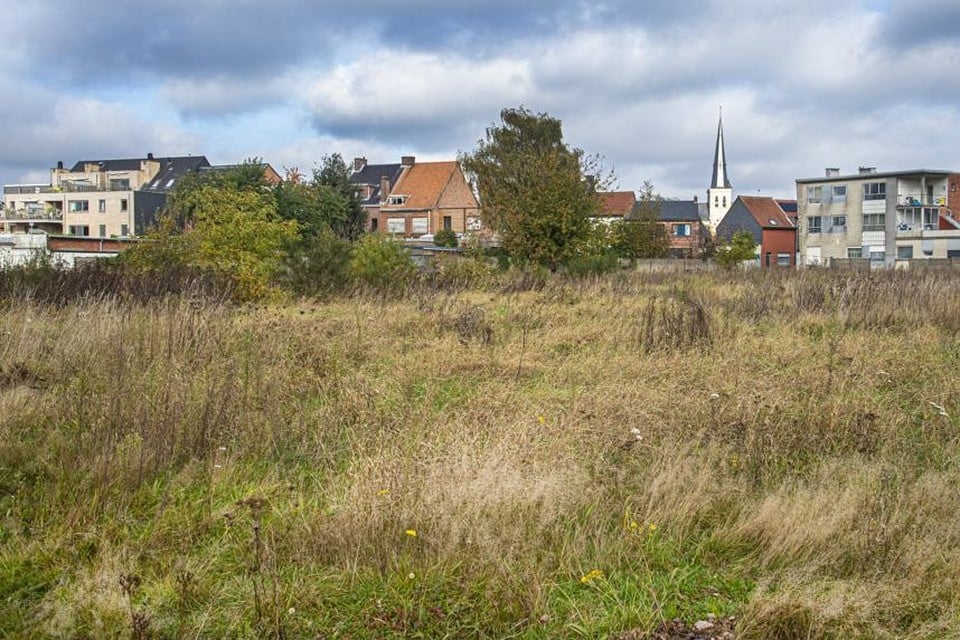 Op dit braakliggend veld in de stadsrand van Herentals wil de sociale bouwmaatschappij De Woonbrug 150 wooneenheden bouwen. 