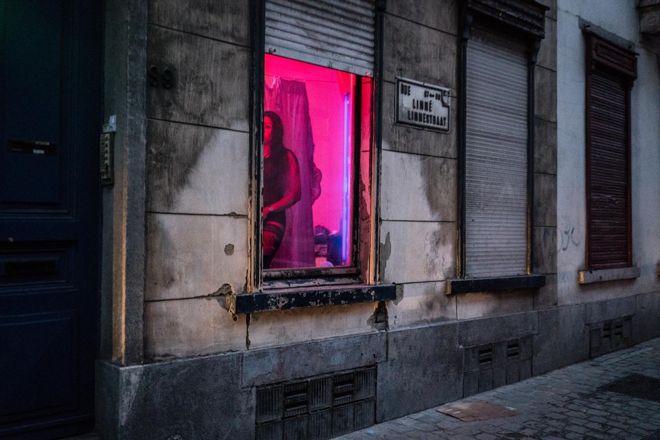 gemiddelde prijzen prostituees