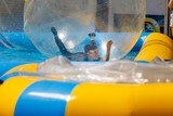 thumbnail: null