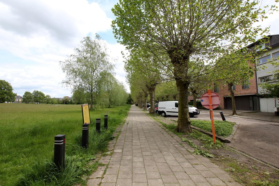 De bomendreef rechts wordt zo veel mogelijk bewaard, terwijl links een nieuwbouwproject komt in de Edmond Thieffrylaan.