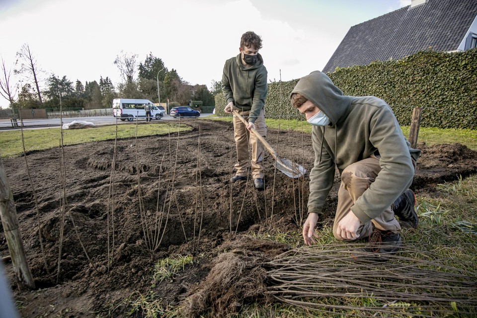 Er werd onder andere een haag aangeplant.