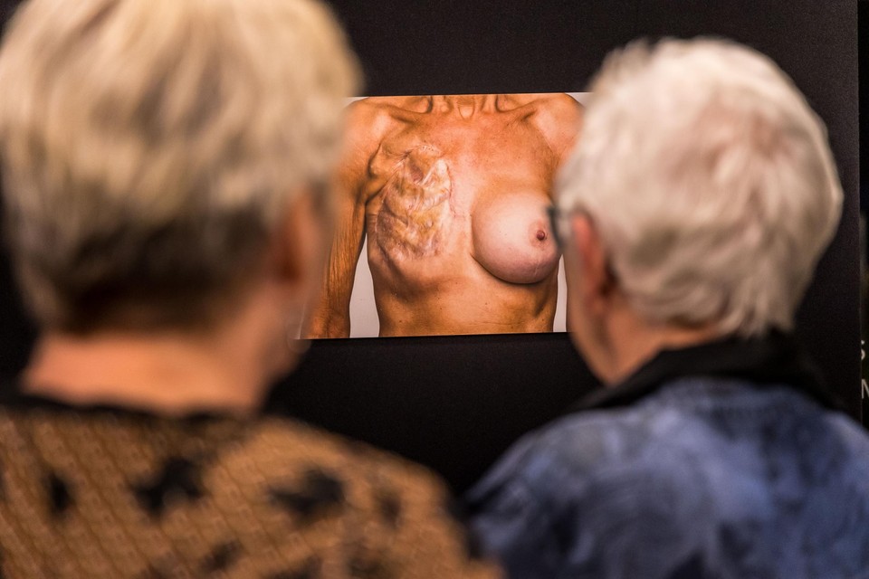 De expo in Werf44 confronteert de bezoekers met allerlei soorten borsten, ook van wie al borstkanker onderging met geslaagde en minder geslaagde ingrepen.  