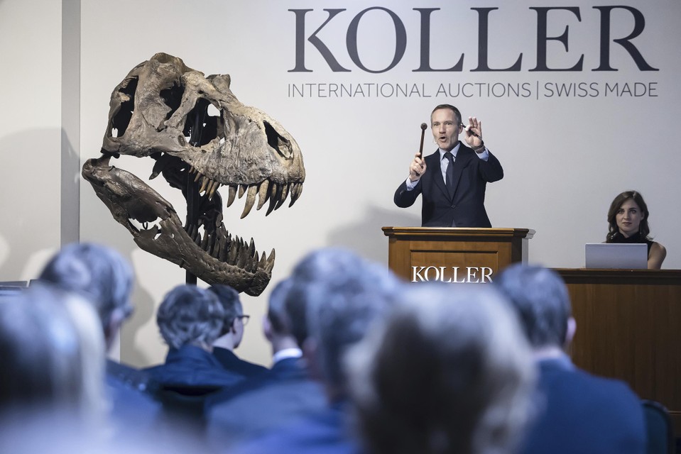 Het skelet van de T.rex ging eerder deze week onder de hamer bij het Zwitserse veilinghuis Koller.