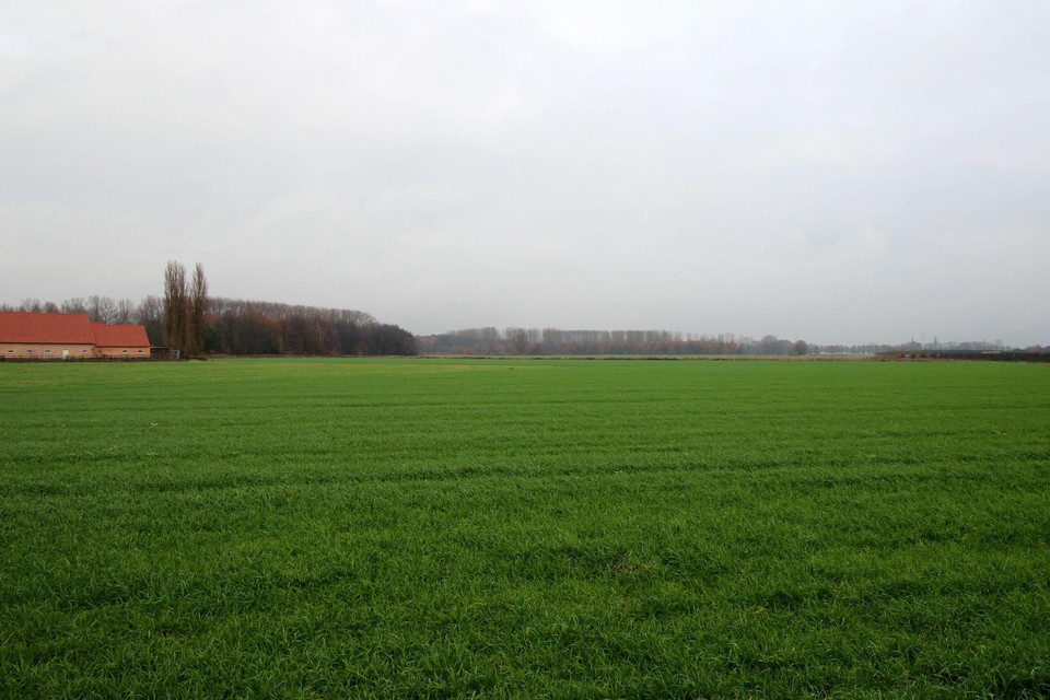 De open ruimte van de Molenbeekvallei blijft belangrijk voor Boechout.