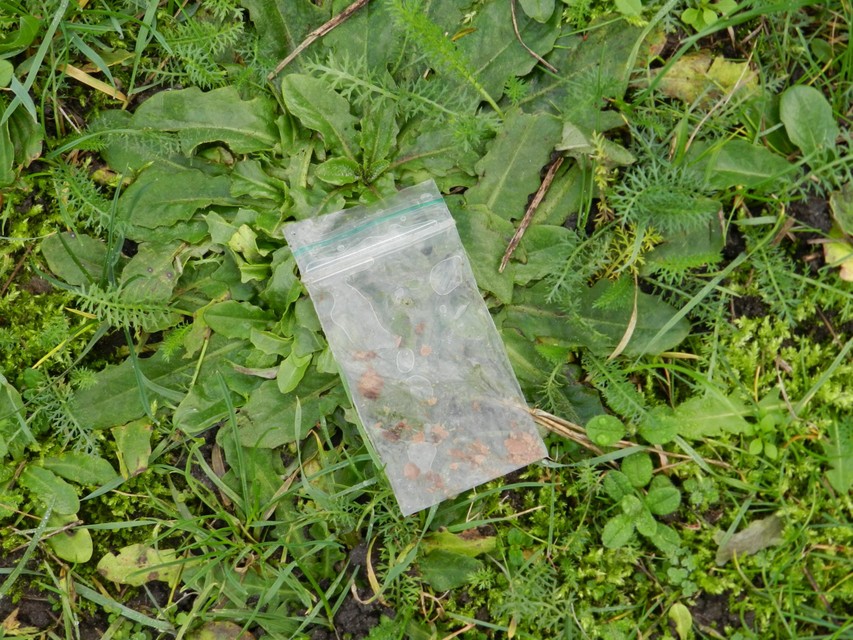 In het gras liggen zakjes met drugsrestanten. 