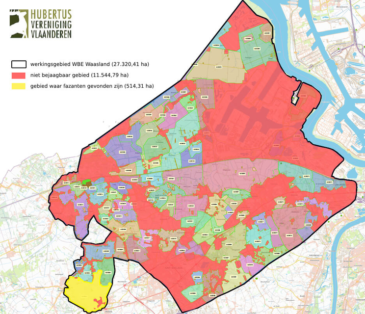 Deze kaart van belangenorganisatie Hubertus Vereniging Vlaanderen toont in het geel het zuidelijke gebied waar de fazanten zijn gevonden.