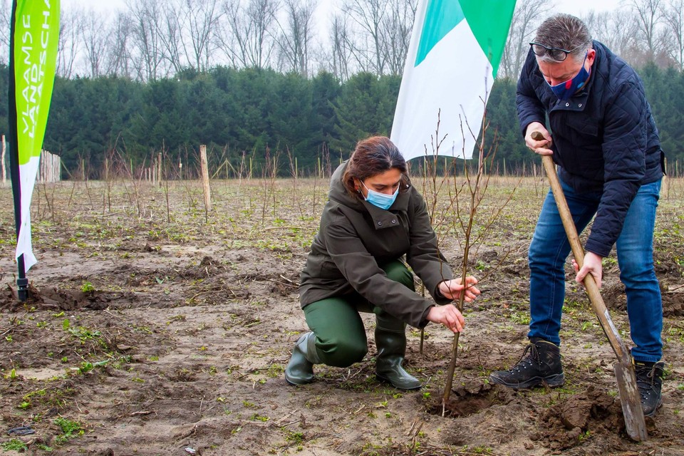 Vlaams minister van Natuur Zuhal Demir (N-VA) en haar voorganger en burgemeester Koen Van den Heuvel (CD&V) plantten zaterdag de eerste boompjes.