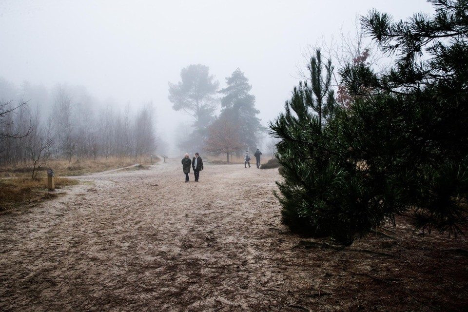 Er hangt nog een mist over de Kalmthoutse Heide, er zal nog veel debat nodig zijn vooraleer het een nationaal park kan worden. 