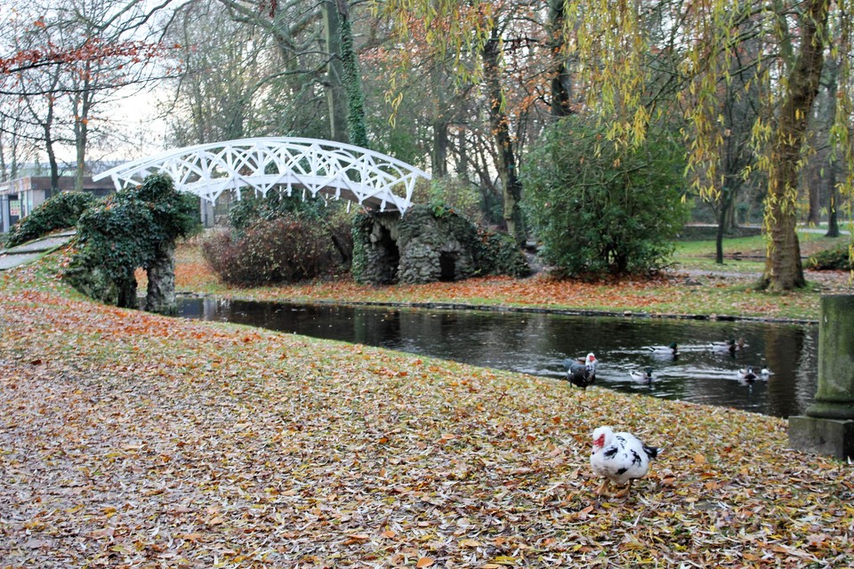Wandelaars moeten in het stadspark op de wandelpaden blijven.