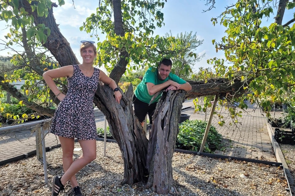 Lynn en Dries bij de oude moerbeiboom