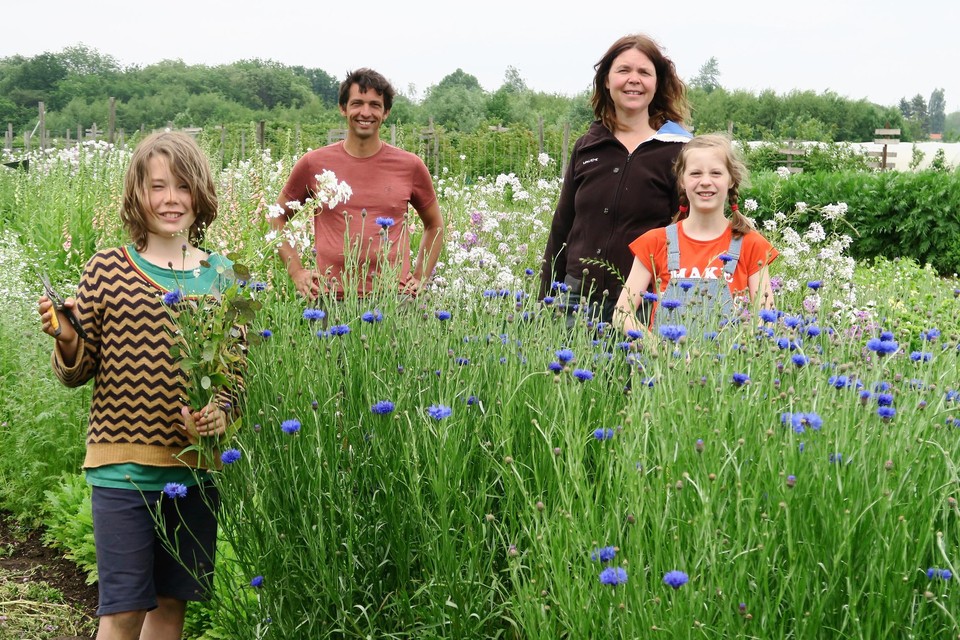 Bioboeren Tom Cnudde en Kaat Segers tussen de korenbloemen en het vingerhoedskruid in de bloementuin van Loof & Bezen, vergezeld van Kaats zoon Flynn en vriendinnetje Anna Floor.