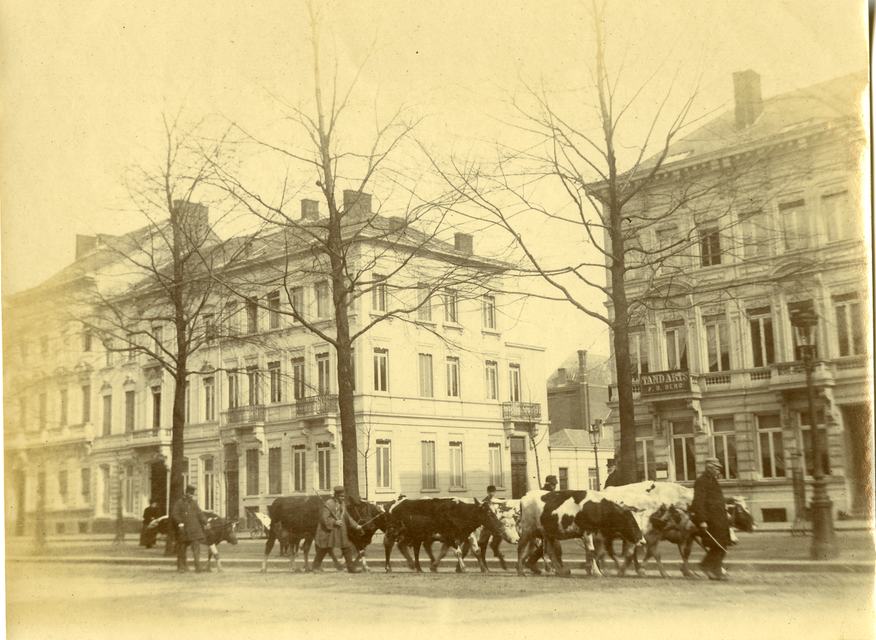 De Italiëlei ter hoogte van de Goudbloemstraat