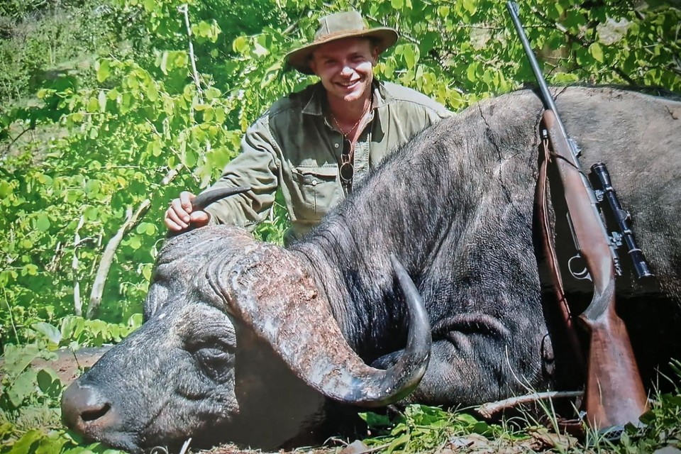 Sven Sels bij de Kaapse buffel die hij schoot in Zimbabwe.