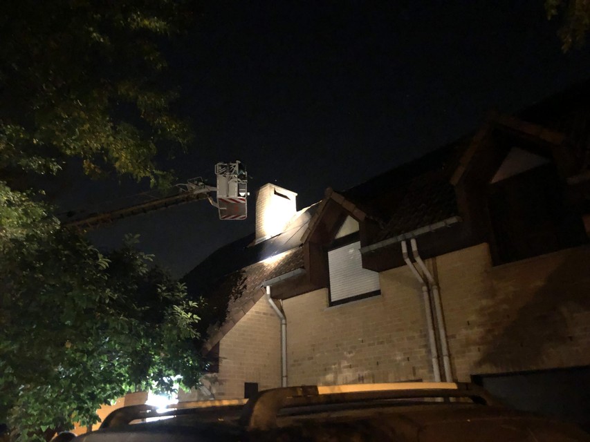 De brandweer geraakte net niet tot bij de kat.