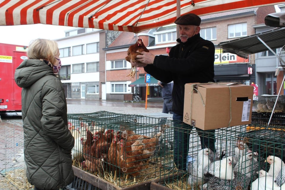 Handelaar Theo helpt Mila een bruine kip uit te kiezen 
