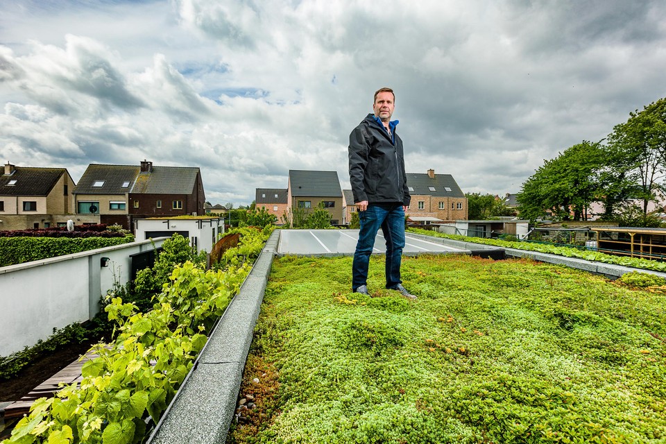 Glenn Hermans op een groendak.