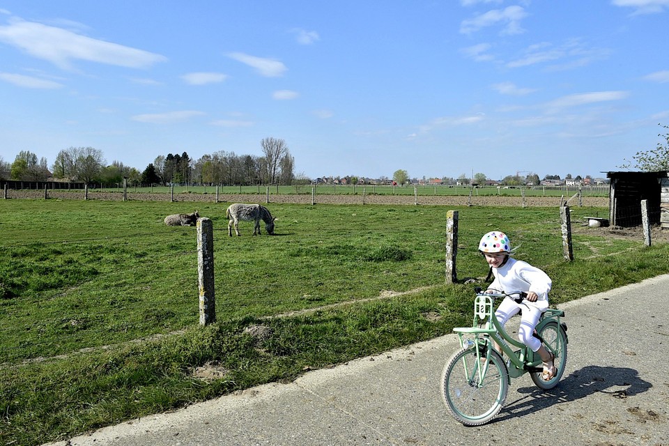 Fietsen op het Hombeeks plateau.