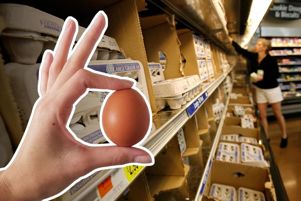 Lang Tropisch Vroegst Prijs voor eieren op recordhoogte: “Pas na Pasen een goedkopere omelet” |  Gazet van Antwerpen Mobile