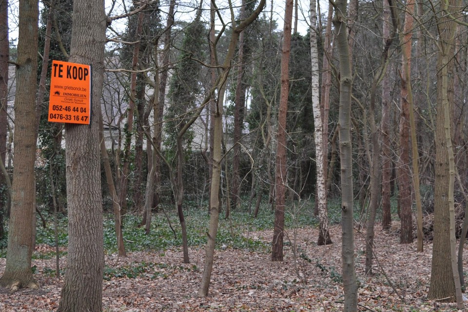 De bossen in het Waasmunsterse heidegebied liggen er kurkdroog bij, meteen een signaal om alert te zijn voor brandgevaar. 