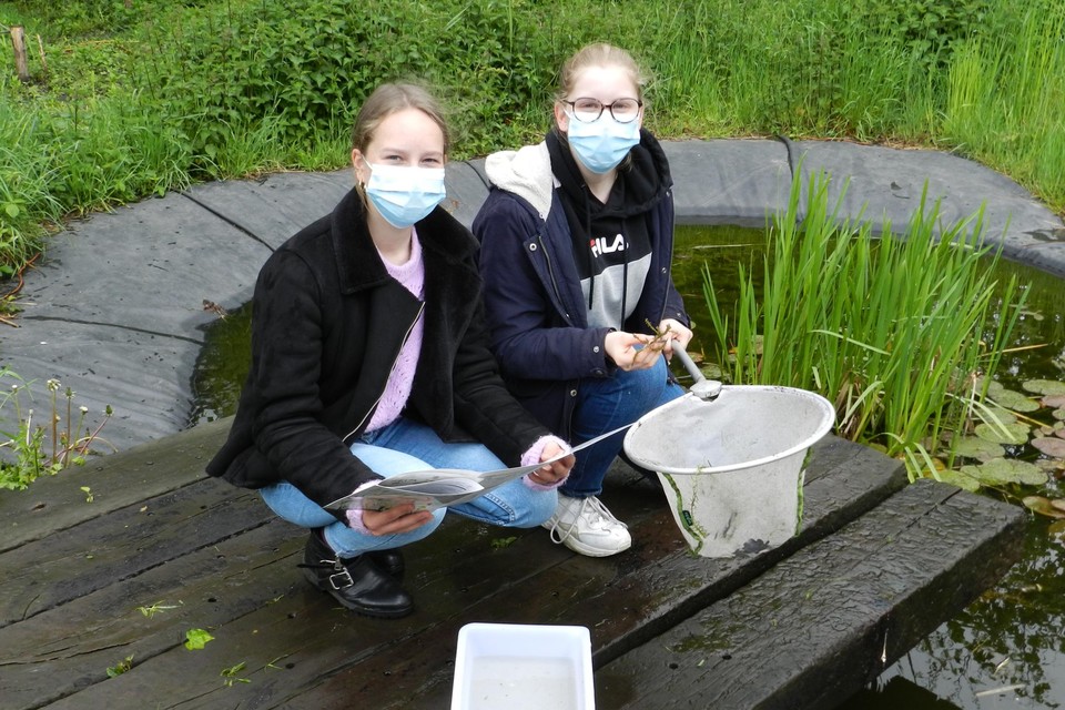 Leerlingen analyseren de planten en dieren in de vijver.