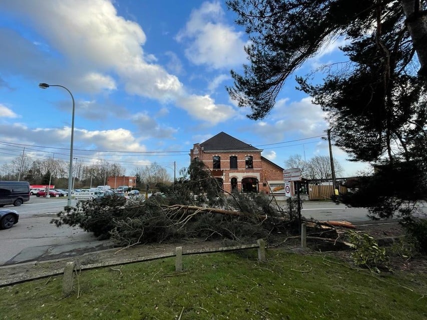 De Wouwerstraat in Heist was een tijdlang versperd door een omgevallen boom. 