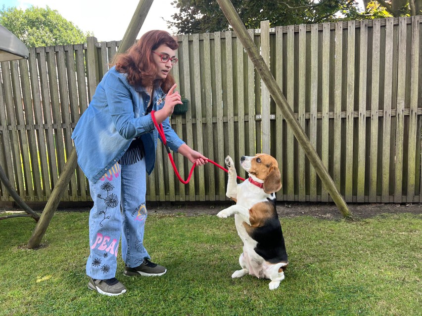 De hond Lou zorgt voor inspiratie.