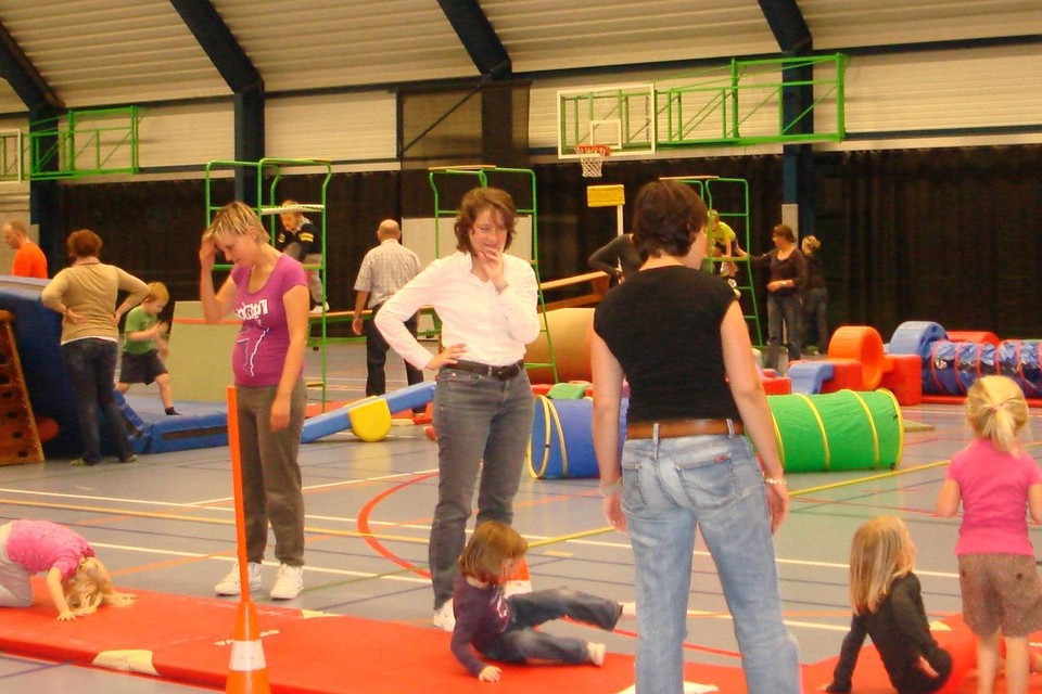Huppelen, springen, rollen, werpen, vangen en nog veel meer in de sporthal.