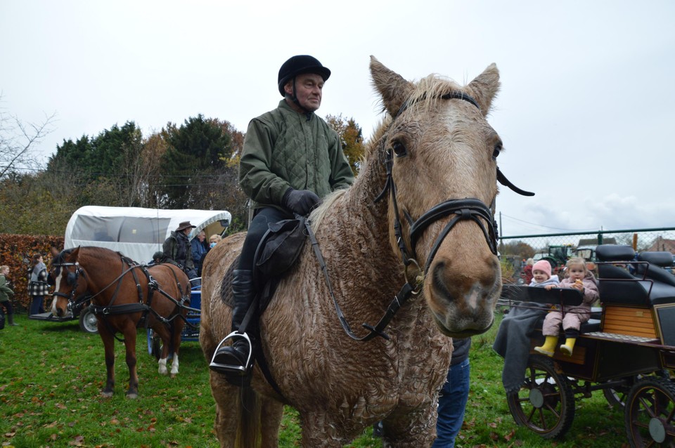 Seger met Tornado.