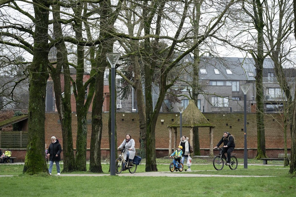 De schermutseling gebeurde in het Herentalse stadspark (archiefbeeld).