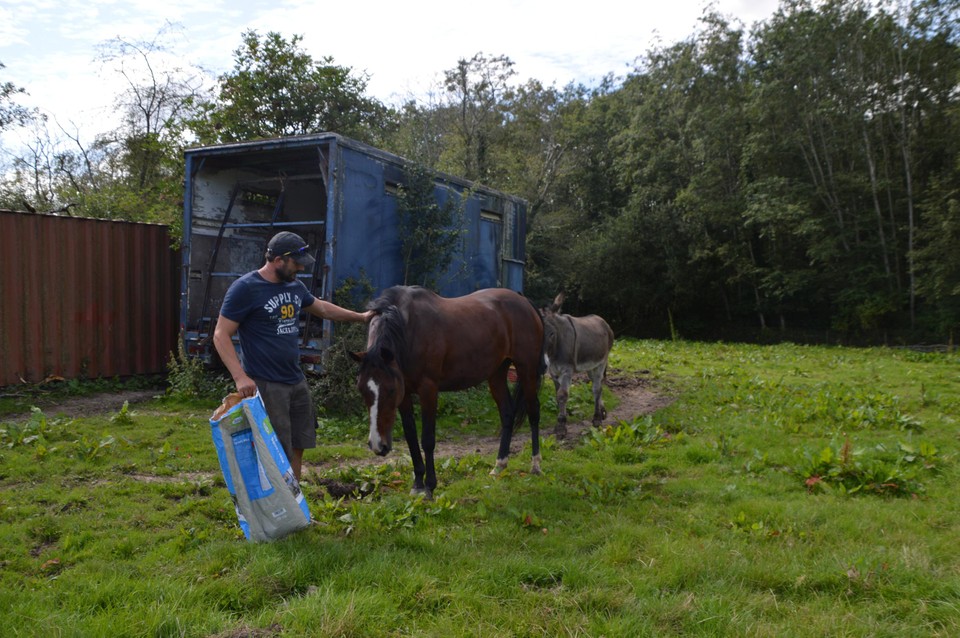 Bij de ezels staat ook één paard, Nina, die bevriend is met ezel Mario.