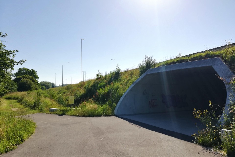 Het nieuwe fietspad verbindt de fietstunnel onder de R6 met de Liersesteenweg.