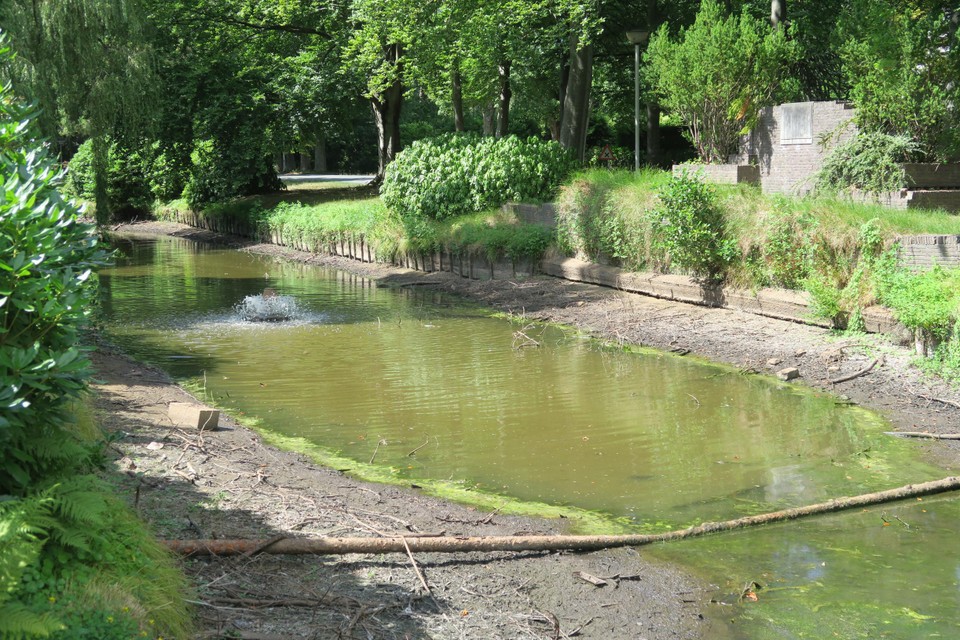 Het water van de vijver staat laag. Maar niet alleen in Koningshof. Ook in het Cogelspark in de wijk Deuzeld. 