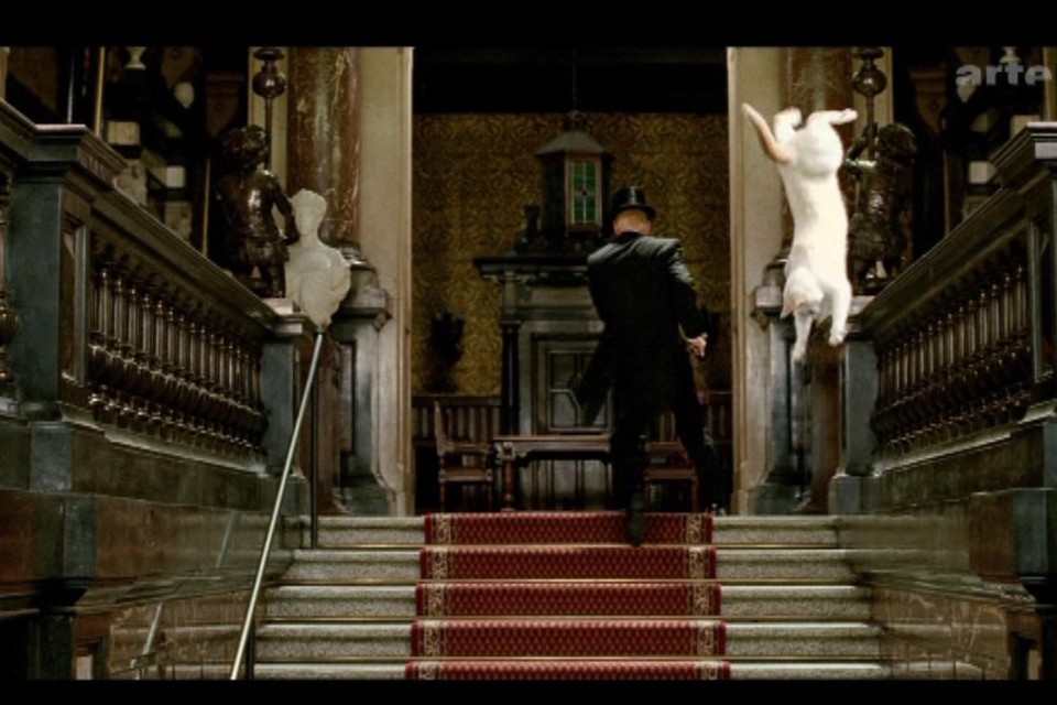 Vliegende katten.