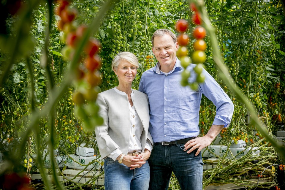 Petra Veldman en Paul Stoffels willen hun tomatenbedrijf graag uitbreiden met een serre in Hoogstraten.