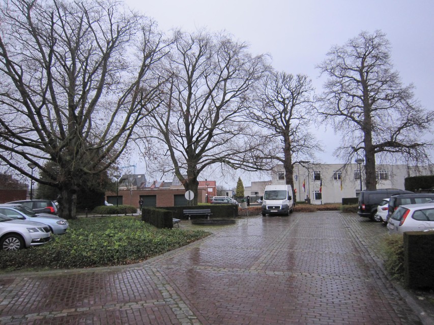 De twee waardevolle kastanjebomen rechts. In de achtergrond het huidig commissariaat van de lokale politie Zara aan de Gustaaf Peetersstraat in Broechem. 