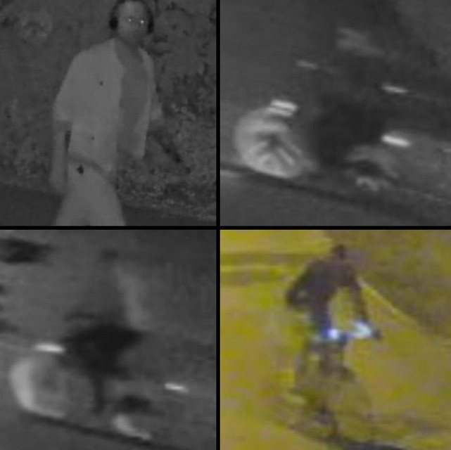 Politie zoekt een wandelaar en drie fietsers in het onderzoek naar de drievoudige moord.