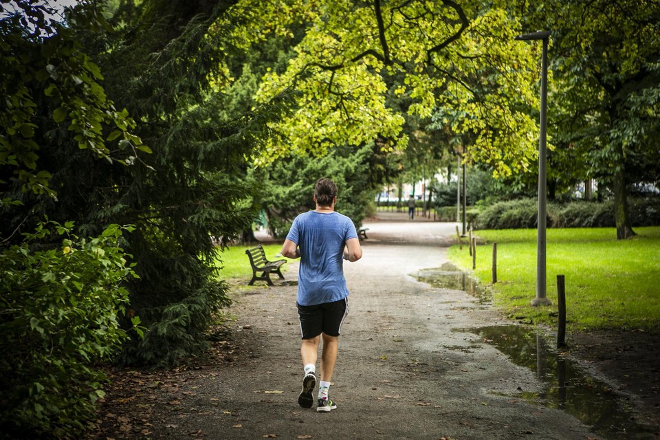 Wie niet graag alleen loopt kan binnenkort met een virtuele looppartner door het Stadspark joggen;