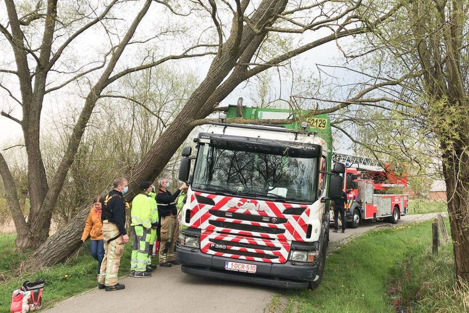 De brandweer kwam ter plekke om de tak te verwijderen.
